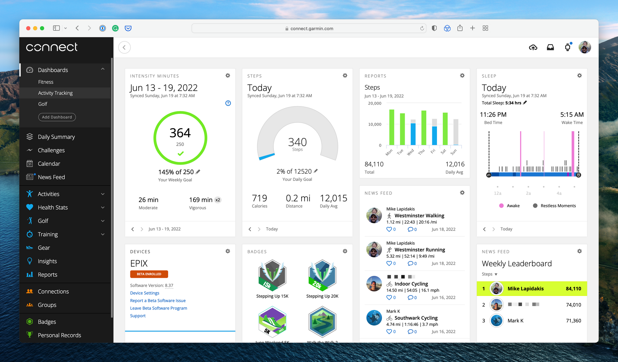 Garmin Connect Dashboard