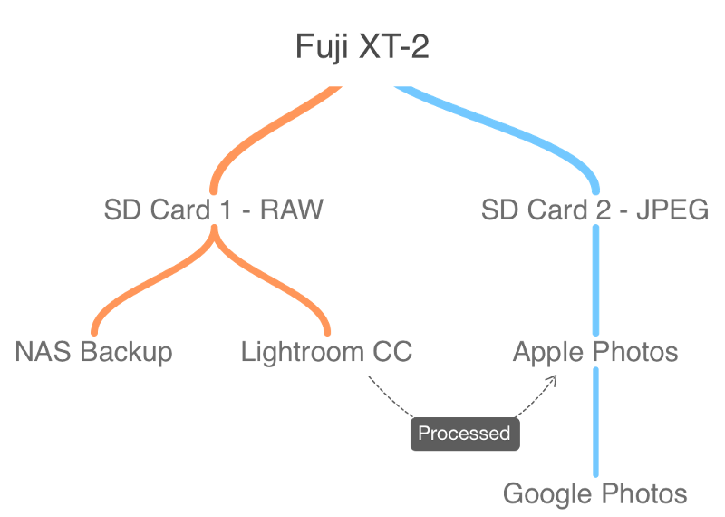 Lightroom CC + Fujifilm XT-2: A New Amateur Workflow